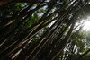 ‘Yo cuido la naturaleza de mi país’