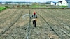 La adopción de biofertilizantes en la región SICA