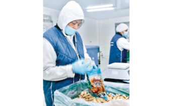 Envían pescado con la marca Panamá Exporta a Colombia