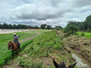 Pérdidas por lluvia podrían generar distorsión en los precios de los productos agrícolas