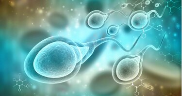 Nació el primer bebé a partir de una técnica de reproducción que ‘activa’ los espermatozoides