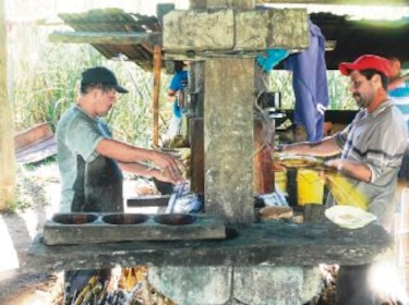 Burocracia entorpece labor agroindustrial