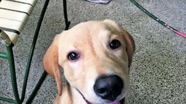 Ola es juguetona