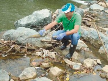 Anam señala a Campos de Pesé por contaminación