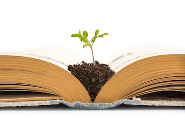 ¿Cómo impacta la educación ambiental en los estudiantes de premedia en Panamá?