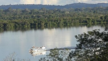 El Amazonas reduce a la mitad su capacidad para absorber dióxido de carbono