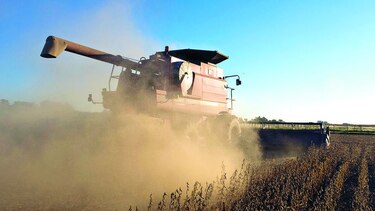 Soja y trigo cerraron año 2016 con resultados mixtos