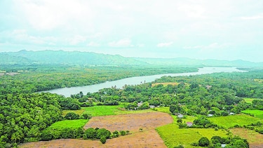 Cuestionan consulta sobre Isla de Cañas