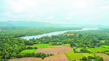 Cuestionan consulta sobre Isla de Cañas