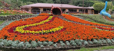 Con el lema ‘Es hora de volver a compartir’, todo está listo para el inicio de la Feria de las Flores y del Café