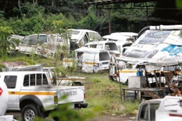 Criadero de mosquitos en Amador