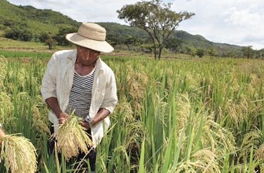 Productores solicitan al Gobierno pagos atrasados para continuar en la actividad