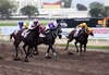 Jornada de clásicos en el Hipdrómo Presidente Remón