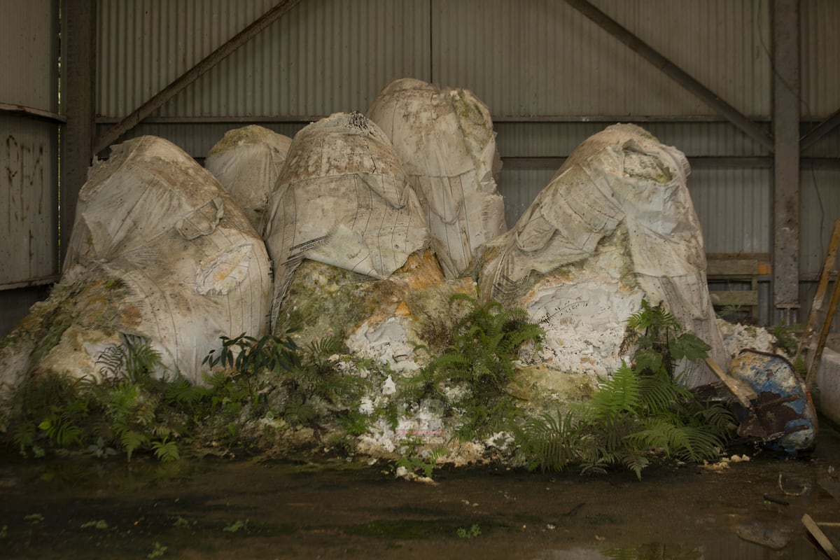 Petaquilla Gold: viaje al centro de una mina abandonada