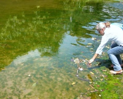 Descubren que la oscuridad estimula la producción de compuestos naturales en microalgas marinas