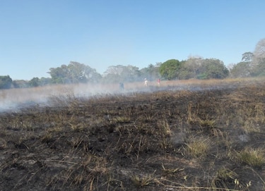 Bomberos exhortan a evitar los incendios de masa vegetal 