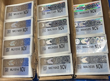 Alcaldía de Panamá entrega placas y calcomanías de noviembre 2025: requisitos, lugares y horarios
