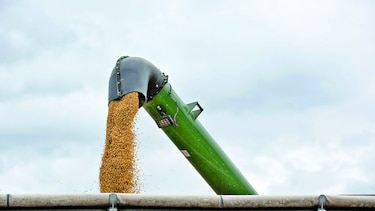 Brasil prevé alza en cosecha de soja
