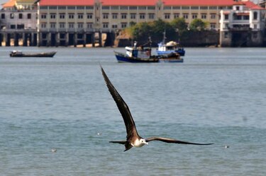 Expertos comparten en Panamá experiencias sobre saneamiento de bahías