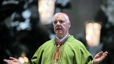 Cardenal alemán niega diferencias con el papa