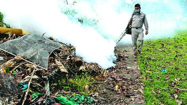 Salud alerta de peligro por zika en embarazadas gunas