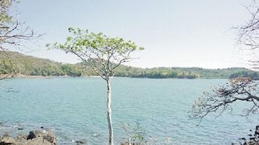 Ordenarán desarrollo en el golfo de Chiriquí