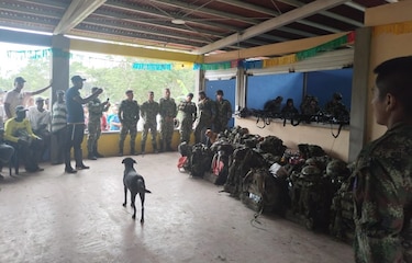 Liberan en Colombia a 29 militares retenidos por campesinos