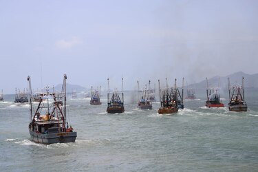 La UE inicia auditoría a Panamá para verificar controles que eviten pesca ilegal
