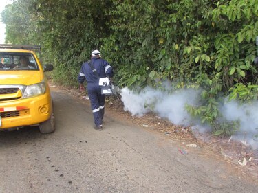 Minsa reporta 3 mil 601 casos confirmados de dengue