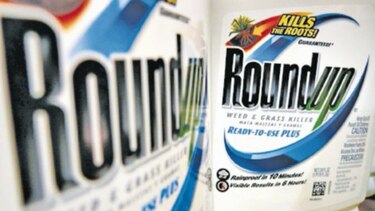 Bayer intenta frenar juicio por Roundup