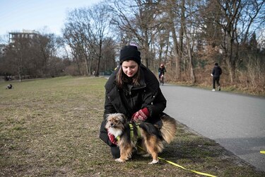 Las mascotas ayudan a los alemanes a sobrellevar la pandemia