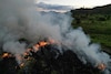 La ‘tetra crisis ambiental’: un nuevo paradigma para la sostenibilidad global