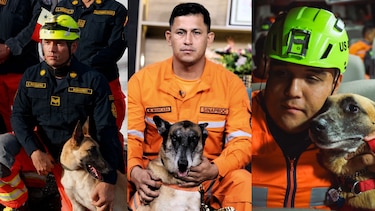 Cuatro patas en busca de vida