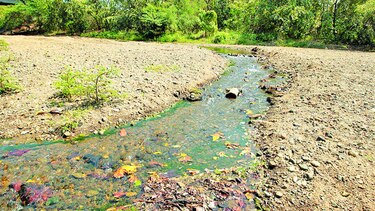 Ambiente advierte sobre uso de agua potable