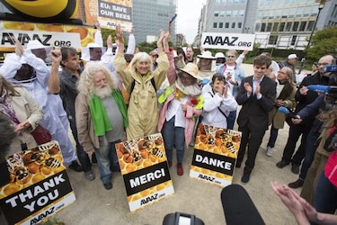 EU apunta a más causas en reducción de las abejas además de uso pesticidas