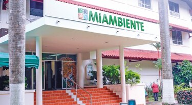 Auditoría y despidos por mal manejo de permisos de madera en Miambiente