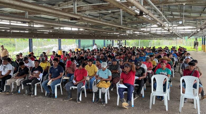 Más de 800 personas acuden al primer día de feria para contratación de personal de Chiquita en Bocas del Toro
