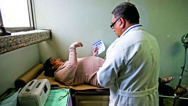 Minsa pedirá $10 millones para combatir el virus zika