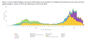 Sarampión en las Américas: más de 20,000 contagios; Panamá tiene casos importados