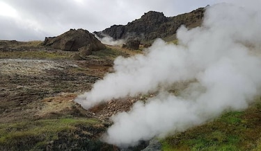 El calentamiento aumenta la diversidad de bacterias activas en el suelo