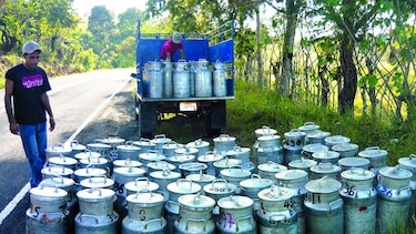Disminuyen precio a productores de leche
