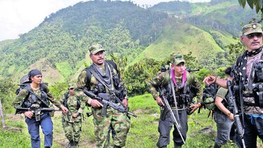 Las FARC piden perdón por masacre de diputados