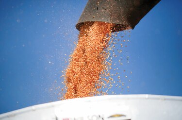 Productores argentinos critican decisión de prohibir las exportaciones de maíz