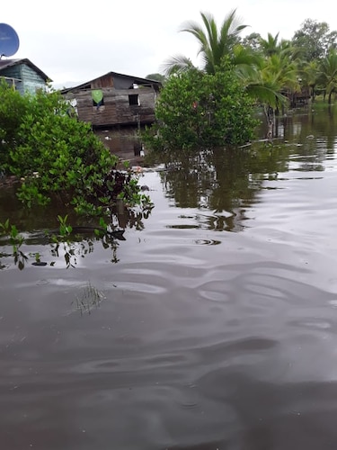 Reportan al menos 143 viviendas afectadas por inundaciones en Bocas de Toro
