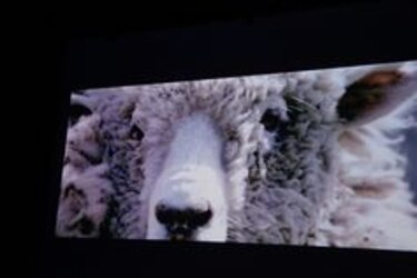 Un festival integrador del cine y la moda