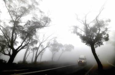  Lluvia da tregua en los incendios de Australia        