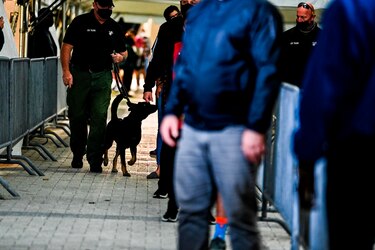 Los Miami Heat usan a sus perros oledores de Covid-19 en juego de la NBA