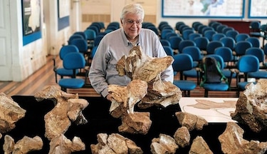 Descubren el mayor dinosaurio de Brasil que estuvo guardado 60 años en el clóset de  un museo