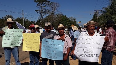 Productores de Herrera y Los Santos insisten que quieren un acuerdo solo con Varela