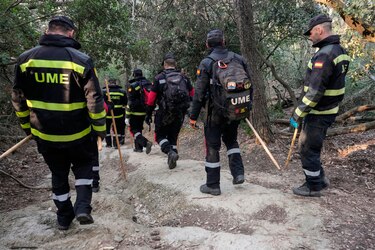 Peste porcina: Argentina y Reino Unido flexibilizan la entrada de algunos productos españoles del cerdo